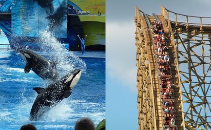 SeaWorld y Six Flags ya tienen fecha de reapertura y nuevas medidas
