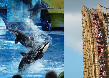 SeaWorld y Six Flags ya tienen fecha de reapertura y nuevas medidas