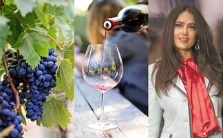 Así es Napa Valley, el ‘paraíso del vino’ que encantó a Salma Hayek