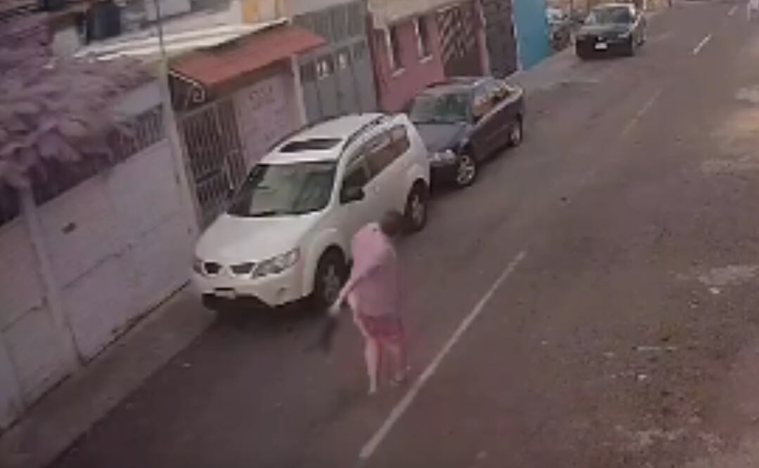 Hombre lanza a un gato sobre cables de luz y es despedido de su trabajo. Foto: Captura X