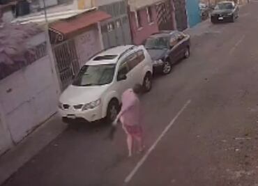 Hombre lanza a un gato sobre cables de luz y es despedido de su trabajo. VIDEO