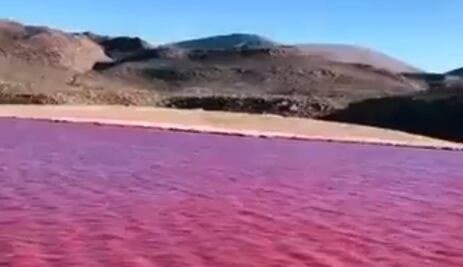 Río Nilo se pinta de rojo "apocalíptico"; usuarios ven "presagio bíblico". VIDEO