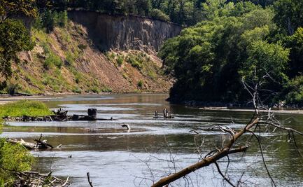 Niño muere en Nebraska de infección por ameba comecerebros