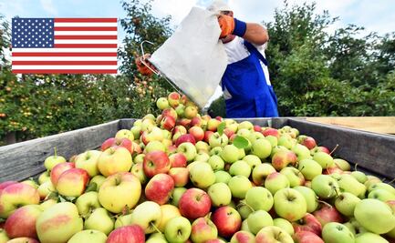 A partir del 1 de julio, entra en vigor ley en Florida que afecta a trabajadores latinos
