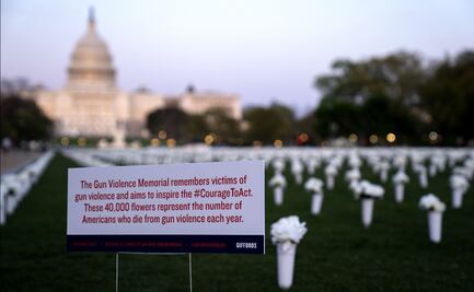 Miles de rosas frente al Capitolio; recuerdan a víctimas de tiroteos