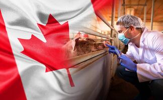 ¡Hay vacantes! Trabaja en Canadá como criador de animales y gana $45,000