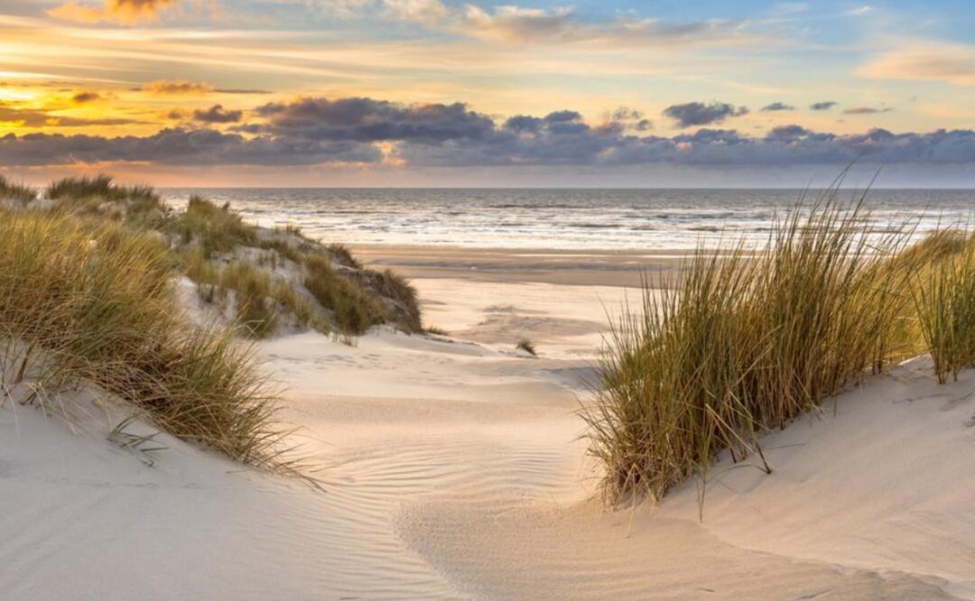 El adolescente falleció en Cape Hatteras National Seashore. Foto: iStock