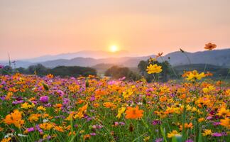 Equinoccio de primavera 2023. ¿Cuándo inicia la primavera y cuándo termina?