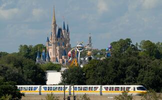 Buscan jardineros para trabajo en Disney World, en Orlando